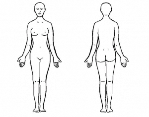 female body outline