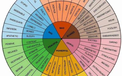 AFT & Feelings Wheel