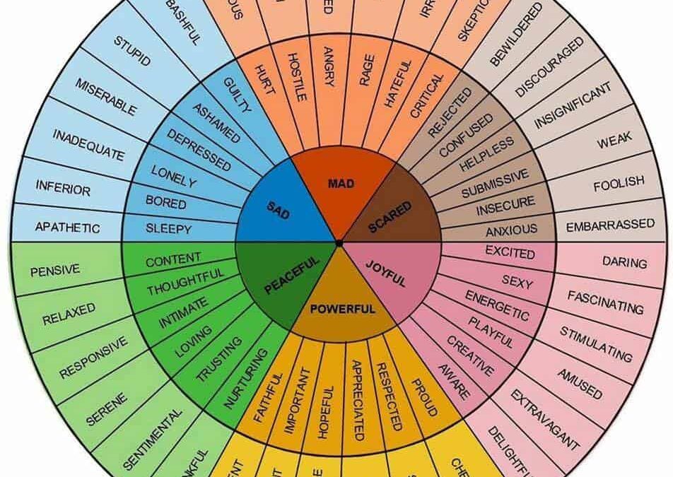 AFT & Feelings Wheel